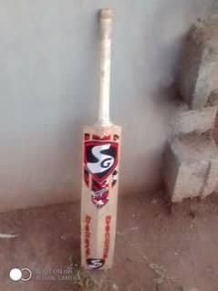 Hot boll SG  cricket bat