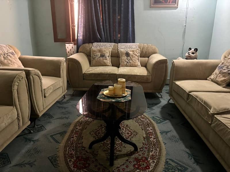 Complete Sofa Set and Divider in cheap price 2