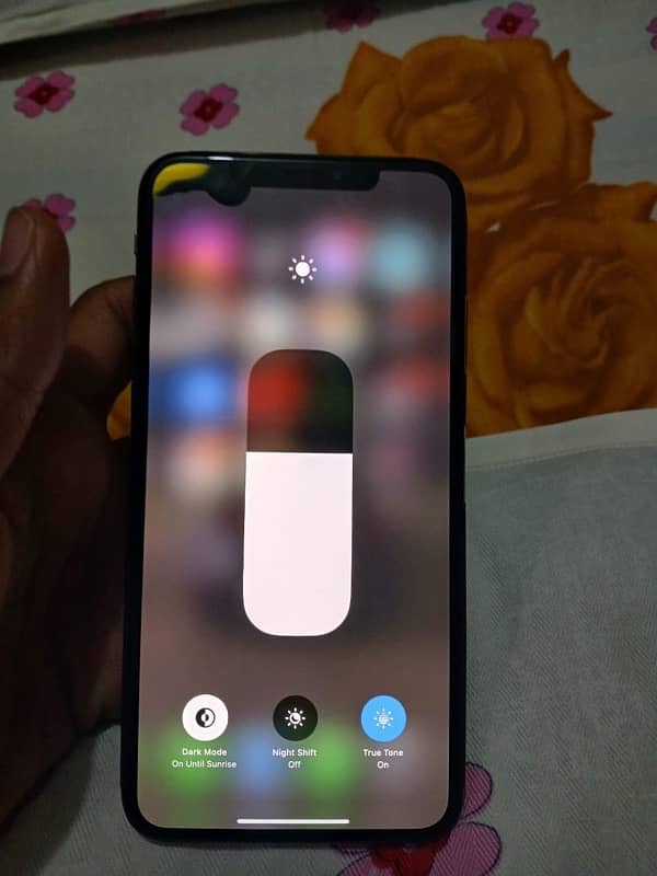 Apple Iphone Xs Max 2