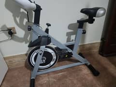 Zero Spin Bike Exercise cycle