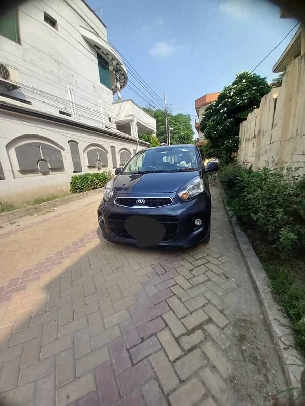 KIA Picanto 2021 Total genuine 67 km milage family used car 5