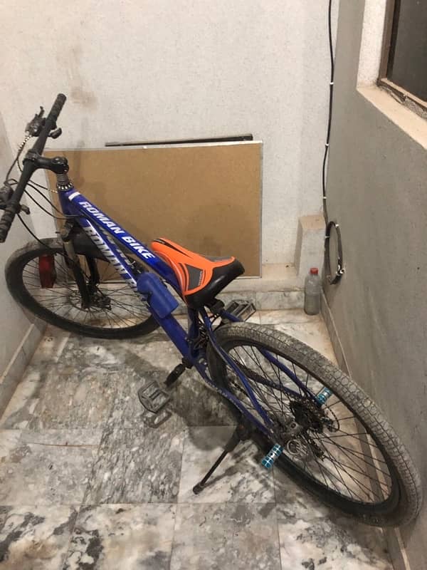 Roman Bike For Sale 0