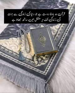 I need student's I am Hafize quraan online