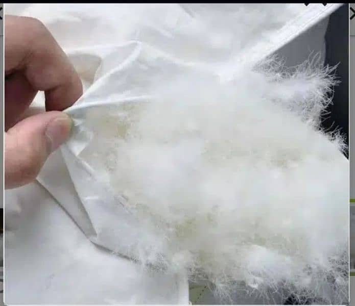 duck down feathers for winter jackets 2