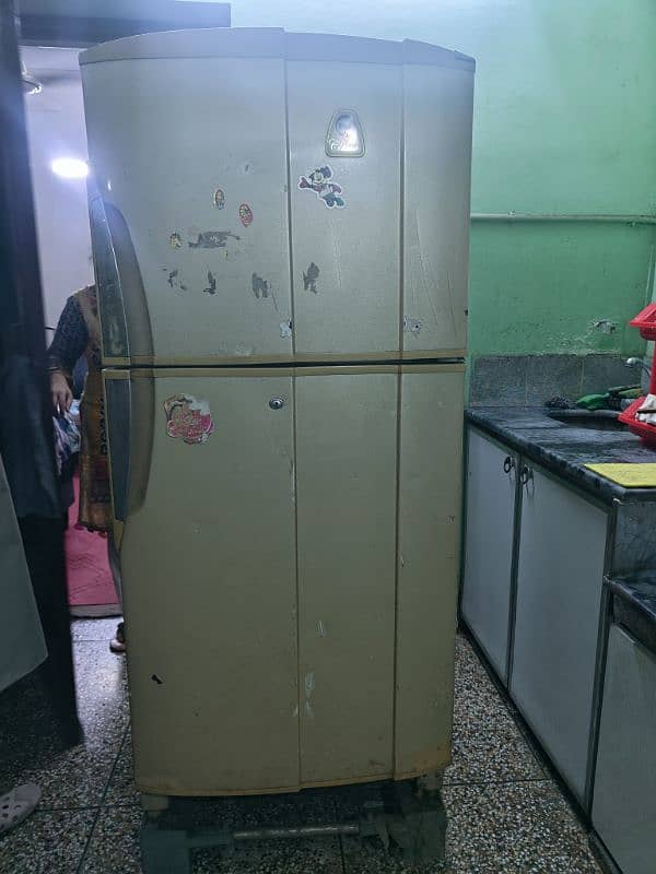 PEL fridge in golden color 1