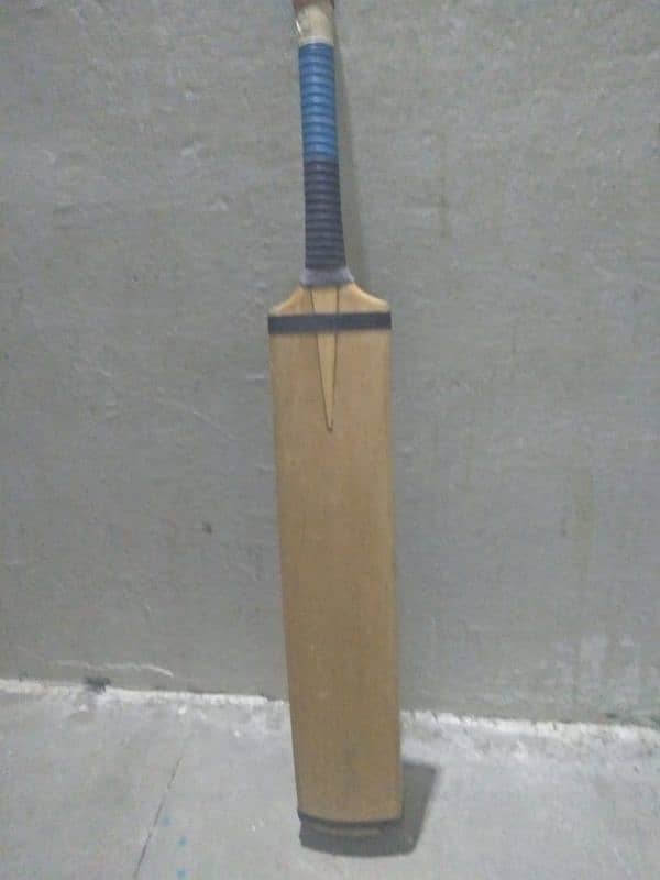 Coconut BAT 760 gram weight 0