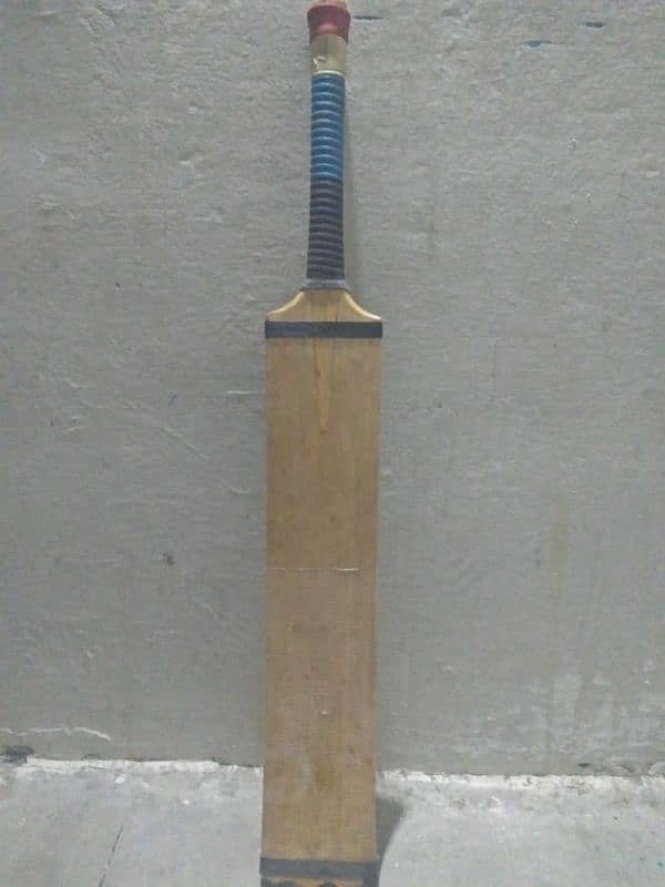 Coconut BAT 760 gram weight 1