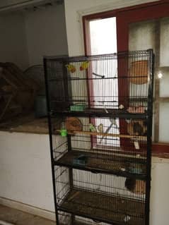 cage with parrots