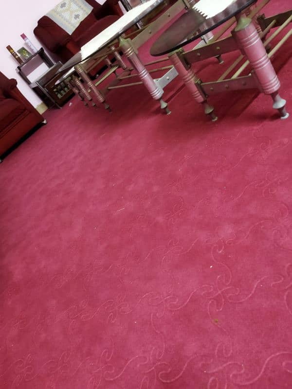 carpet for sale 1