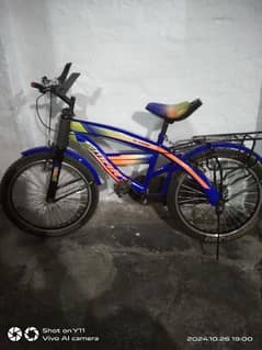 beautiful cycle for sale