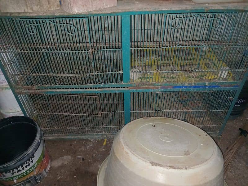 cage for birds and hens 3