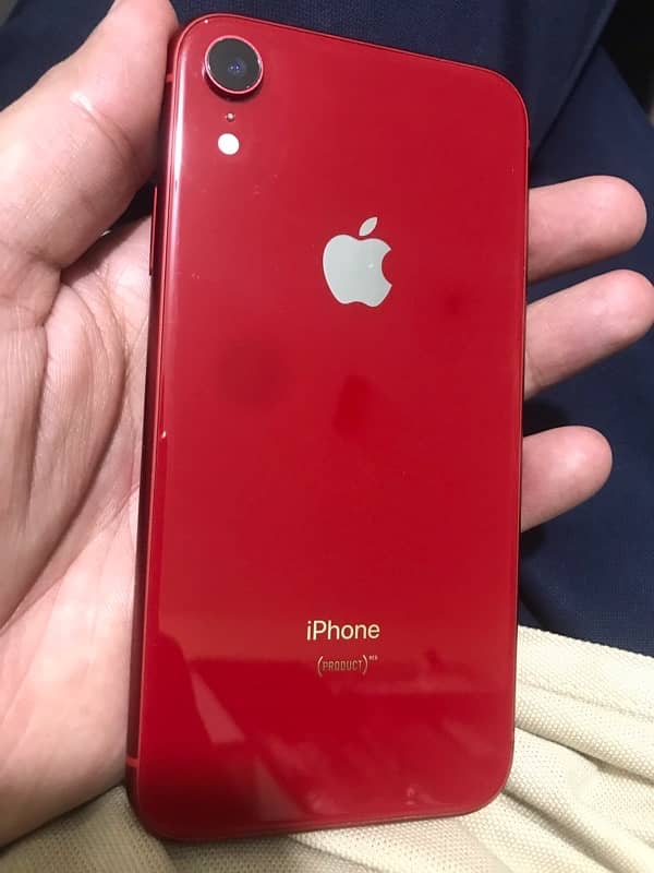 iphone XR 6