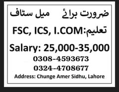 Job for school teachers