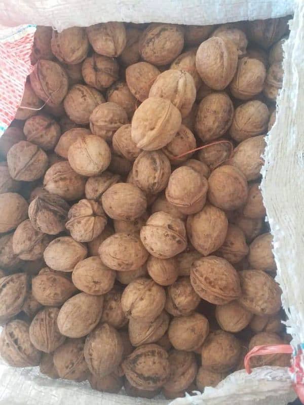 شمس اخروٹ گِری  گلگت ریجن Shams Walnut  Gilgit region 7