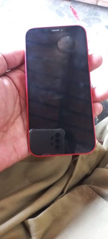 iPhone 12 All ok just Face ID issue 3