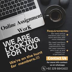 Online Assignment work available