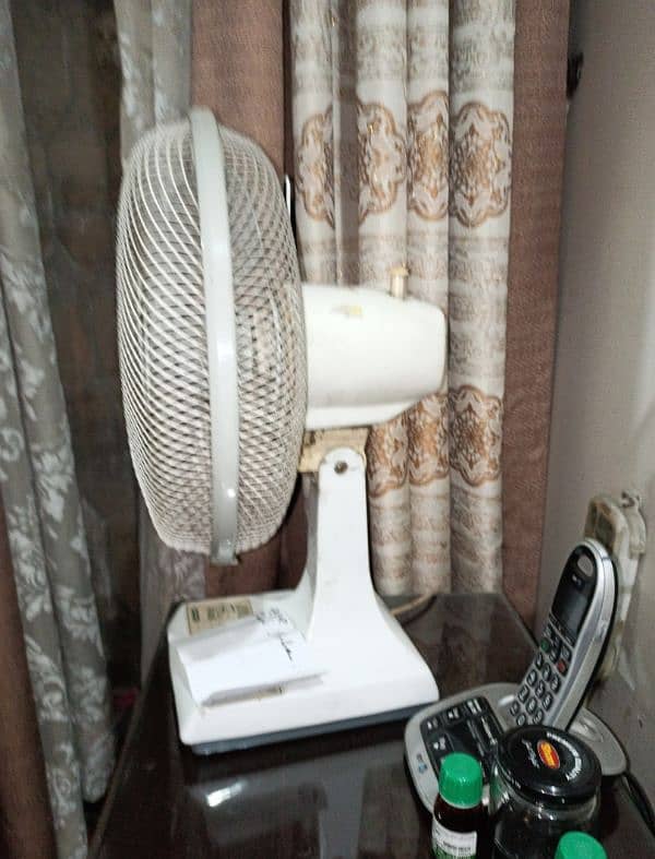 uK import 12 size table fan 1