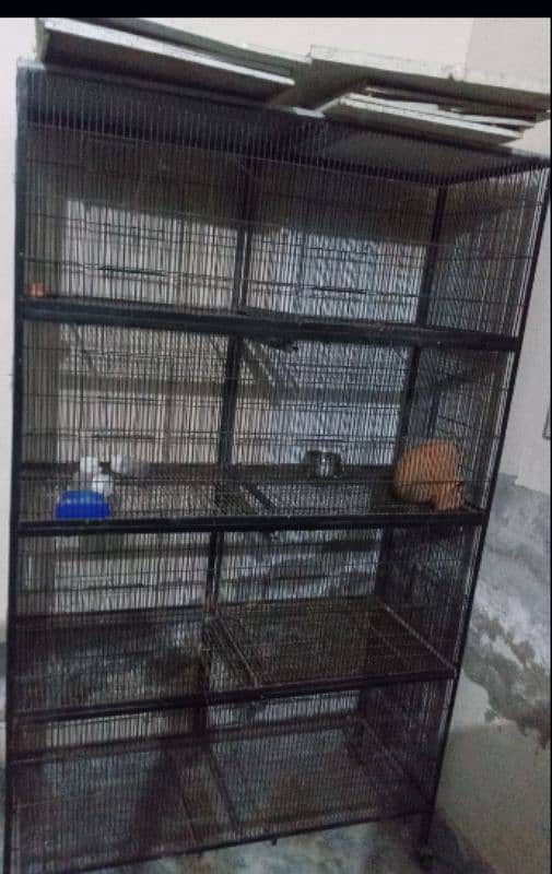 Birds cage 8 portions 4