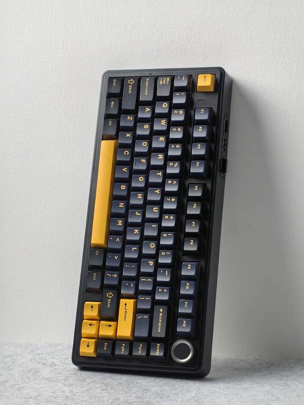 Custom Mechanical Keyboards Brand New 11