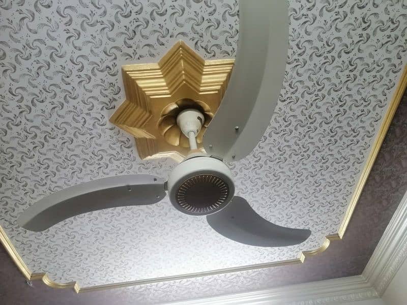 fans available in good condition 2