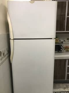 kelvinator full size fridge