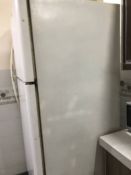 kelvinator full size fridge 2