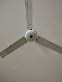 3 fans on cheap price