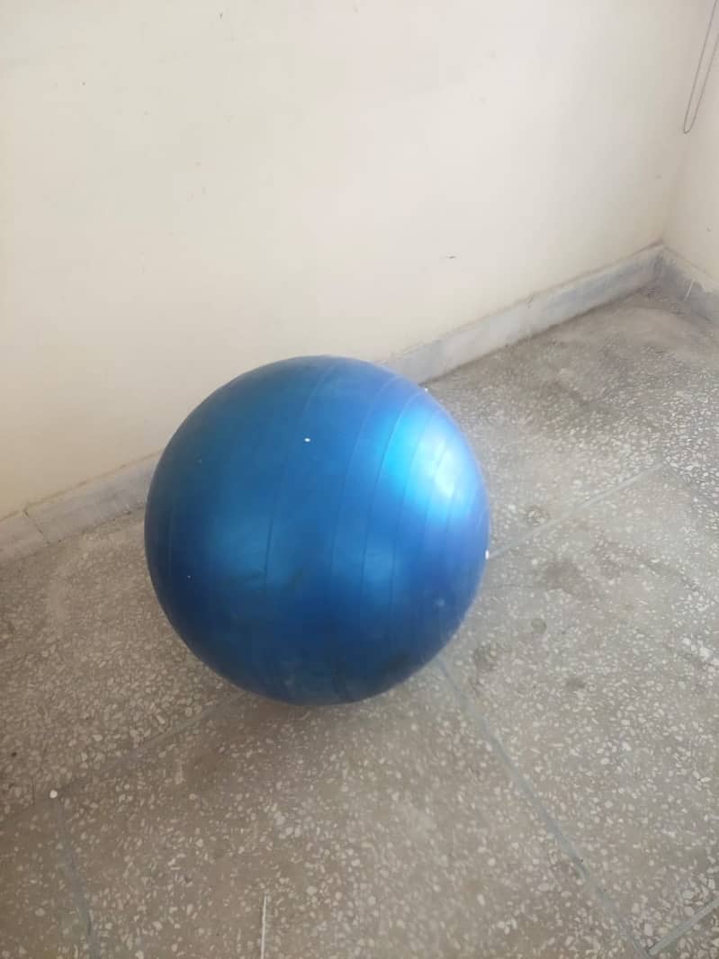 Gym Ball 1