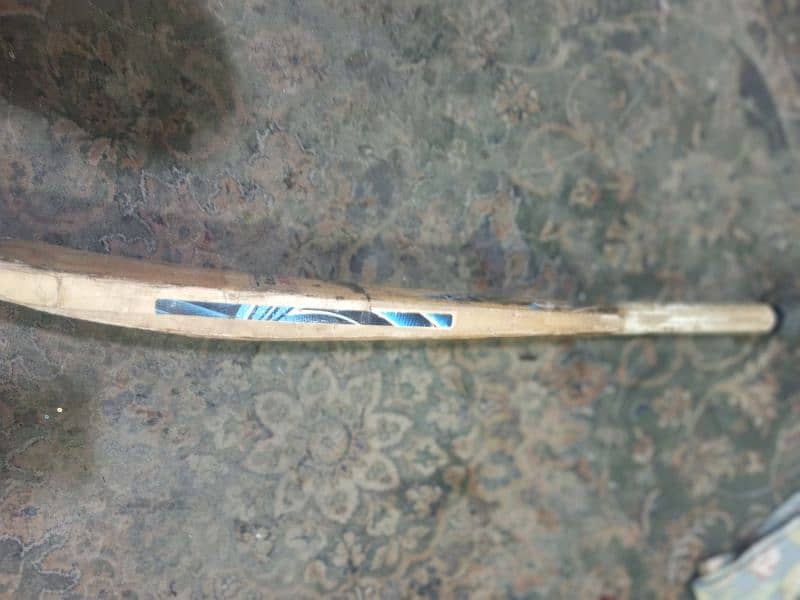 Hard ball bat 1