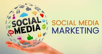 Social media marketing Services for your business growth  03365616841 0