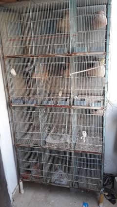 12 portion cage for sale