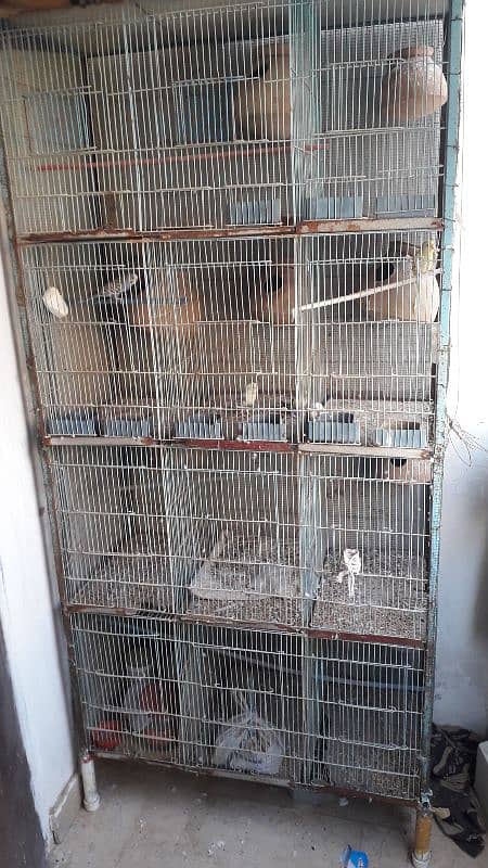 12 portion cage for sale 0