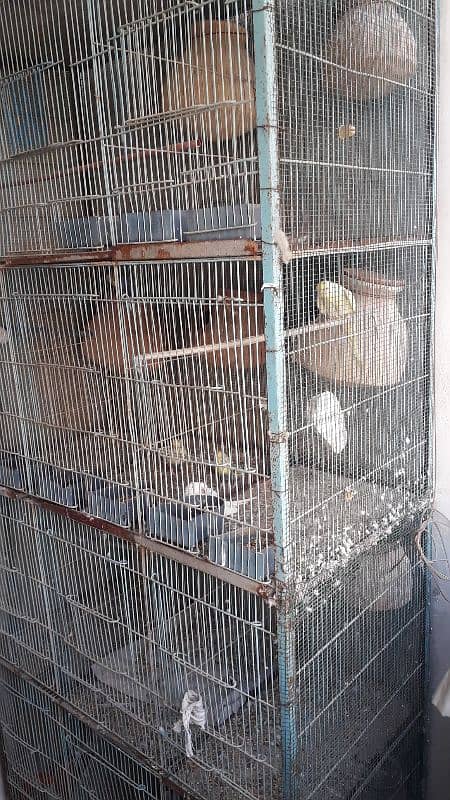 12 portion cage for sale 1