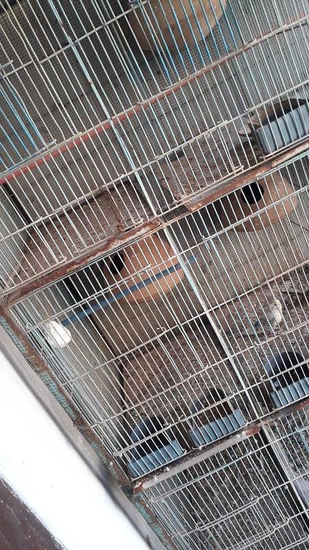 12 portion cage for sale 2