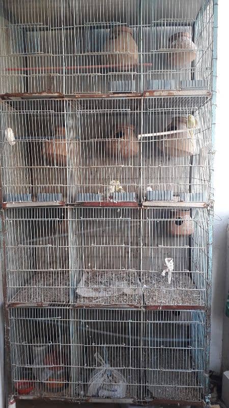 12 portion cage for sale 3