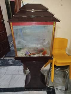 Aquarium in new condition