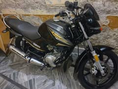 Yamaha YBR125 Brand New Bike