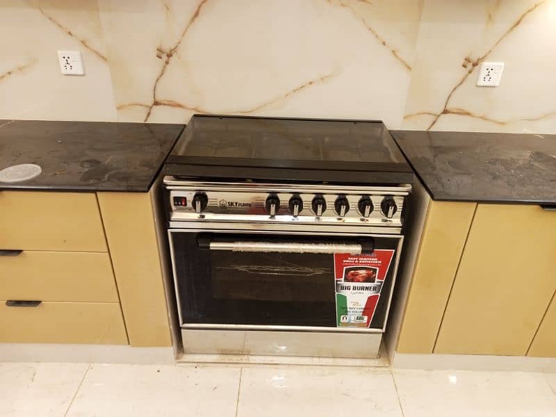 electric Big burner for sale 5