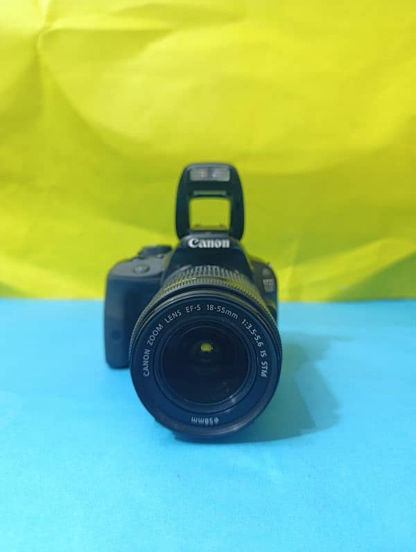 Canon 100D 10/10 with 18-55mm STM lens 3