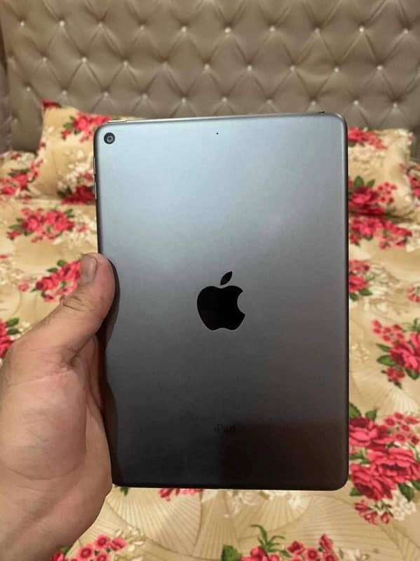 iPad mini 5 2