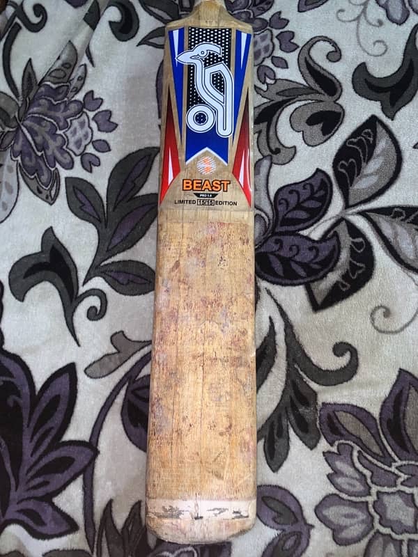 Kookaburra Orignal 14grains Bat 03199658106wtsApp 1