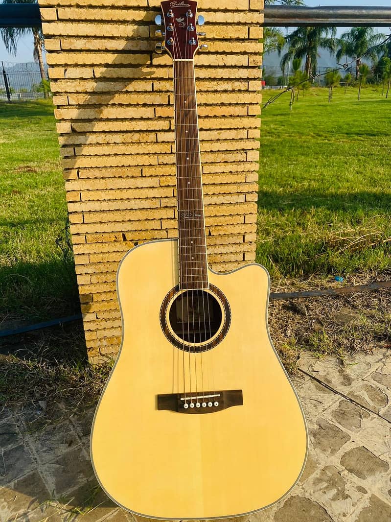 Guitars Acoustic Bignners Professhional Acoustic /semi electric 4