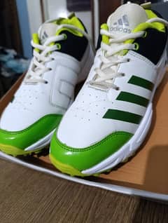 Cricket Shoes for Ground Cricket - Cricket Spikes