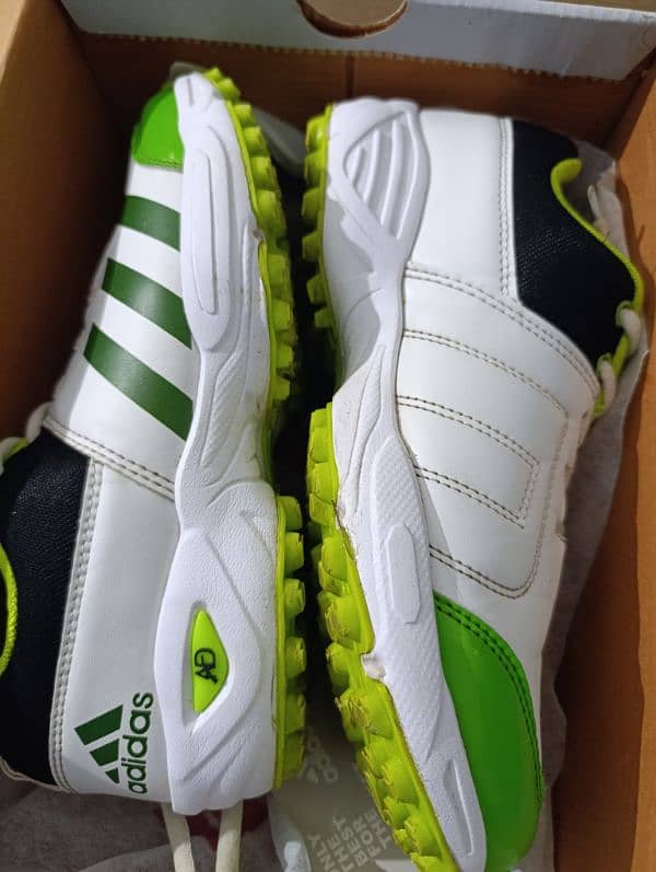 Cricket Shoes for Ground/Indoor Cricket - Cricket Grippers 1