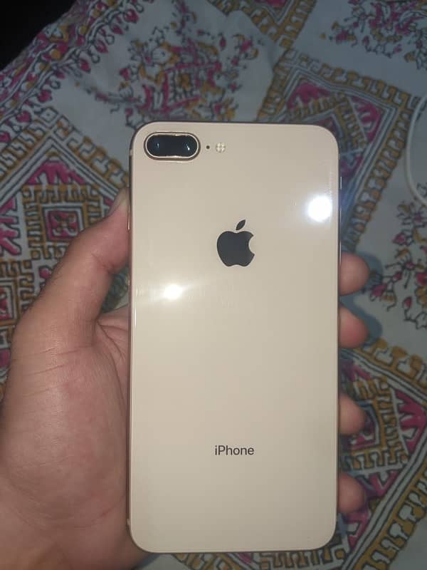 8plus pta approved 2