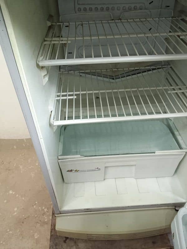 pell fridge medium size 1