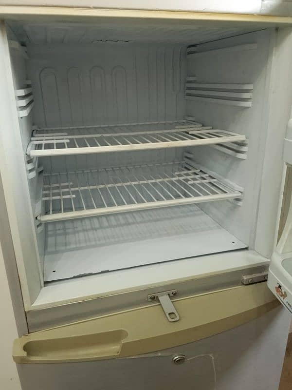 pell fridge medium size 5