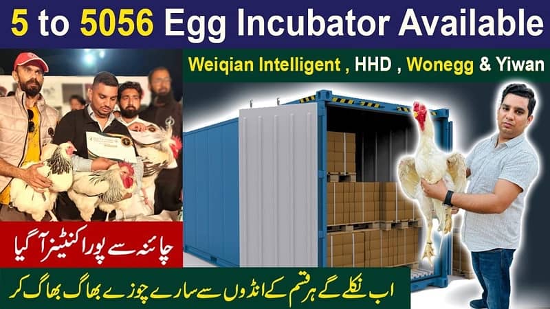 Imported Digital Full Automatic Eggs Incubator & imported Parts 2