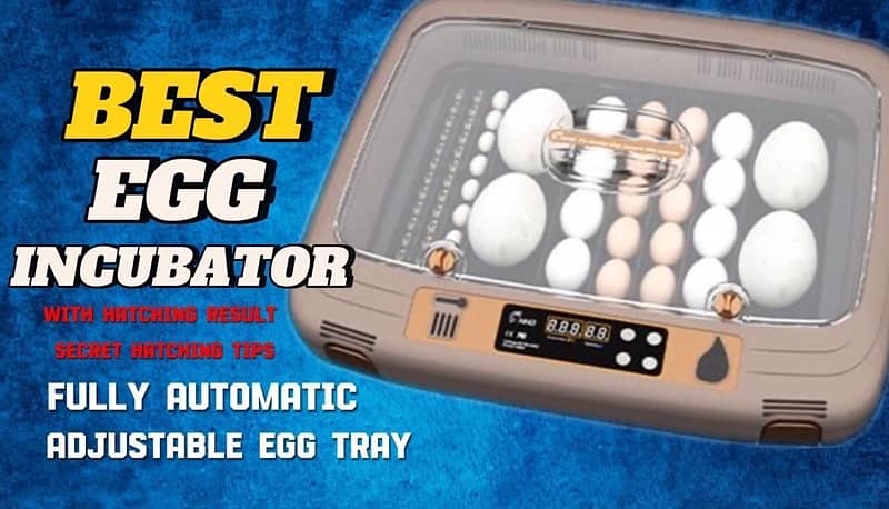 Imported Digital Full Automatic Eggs Incubator & imported Parts 13