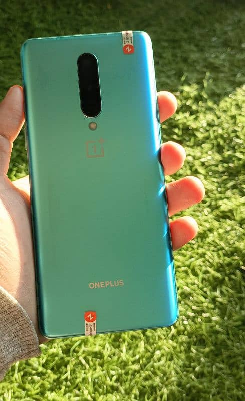 OnePlus 8 USA model 10